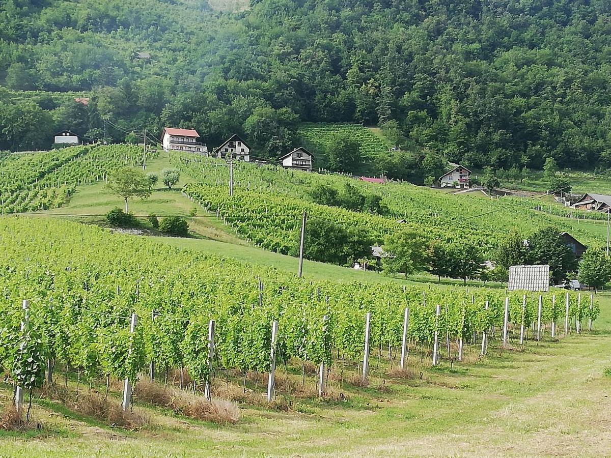 Grobelnik Tourist Farm Villa Sevnica Exterior photo