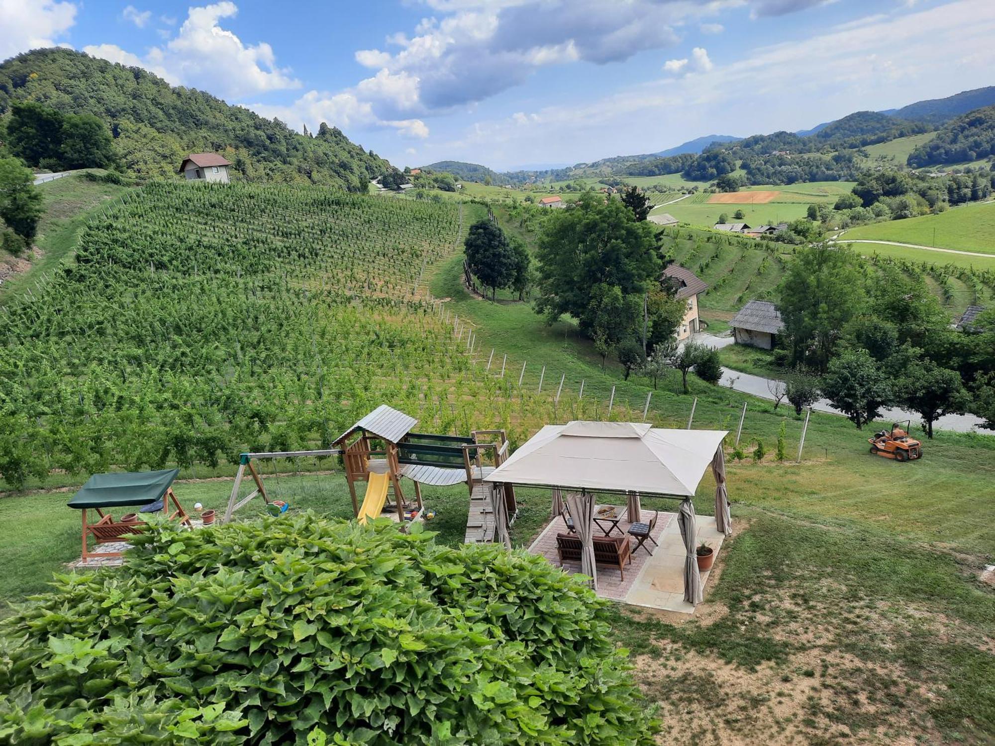 Grobelnik Tourist Farm Villa Sevnica Exterior photo