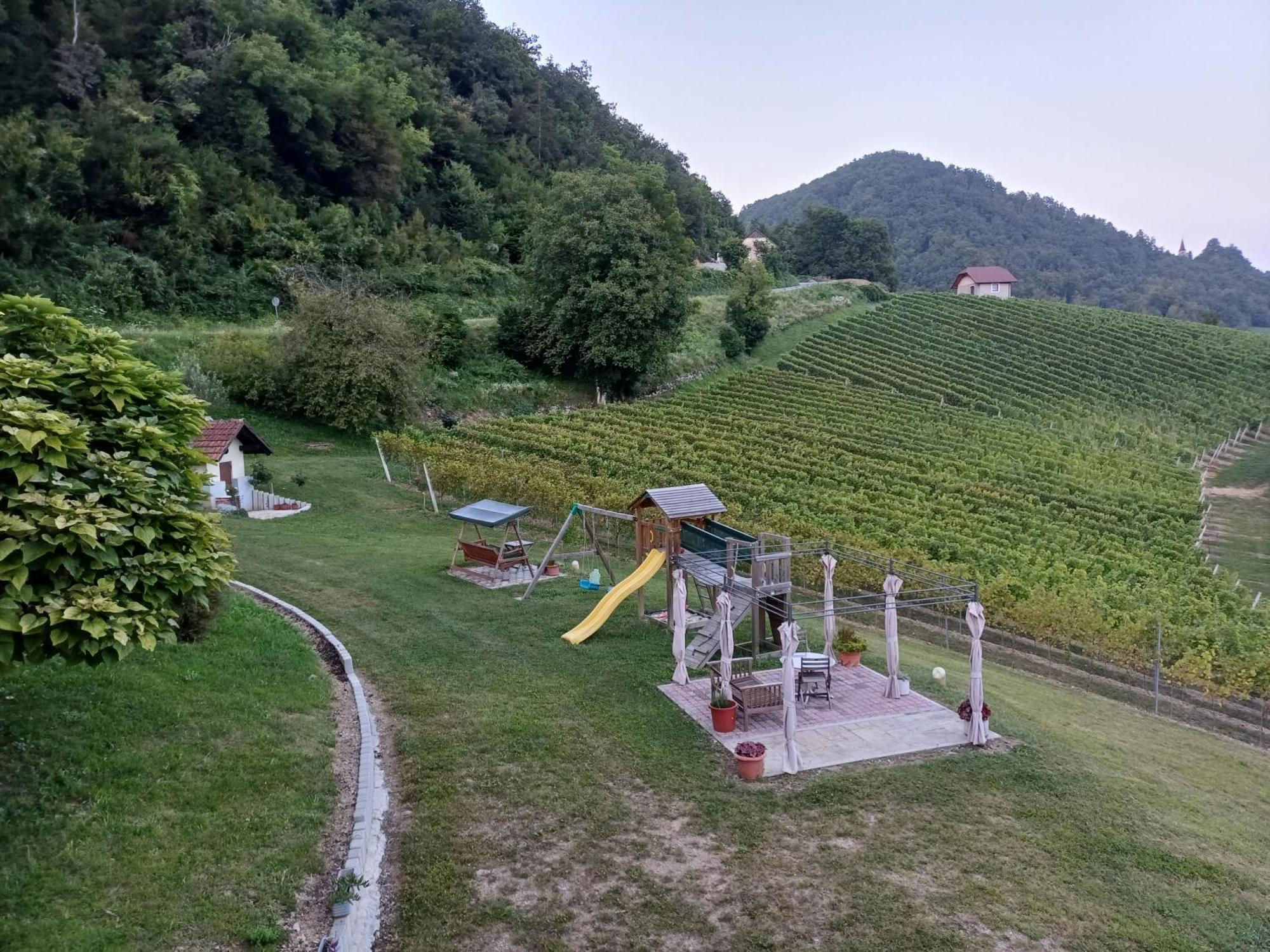 Grobelnik Tourist Farm Villa Sevnica Exterior photo