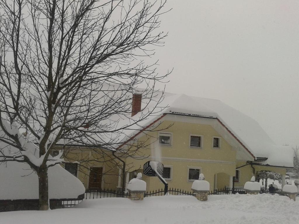 Grobelnik Tourist Farm Villa Sevnica Room photo